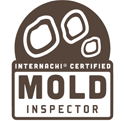 mold-inspector