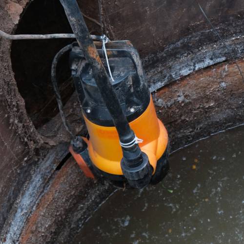 Aerator or pump problems.