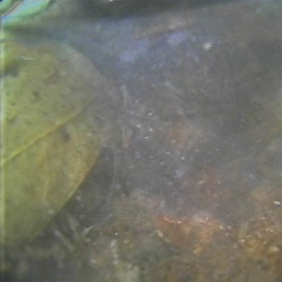 Blockages and Heavy Buildup