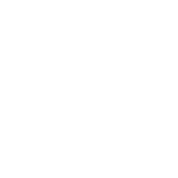 The home is a flip or remodel