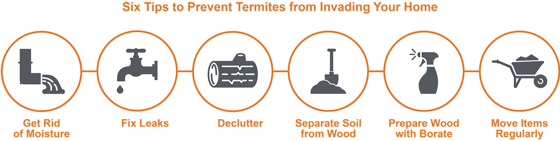 Six Tips To Prevent Termites From Invading Your Home